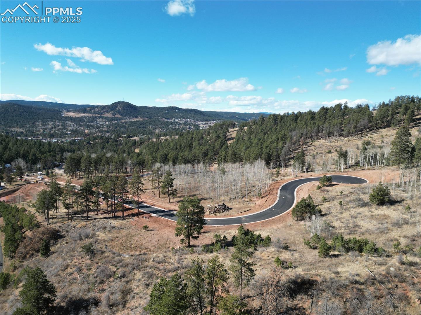 Land in Woodland Park 4