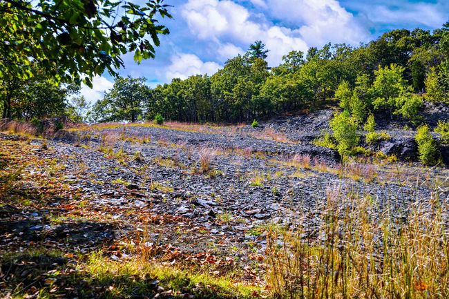 Open Shale Pit | Image 9