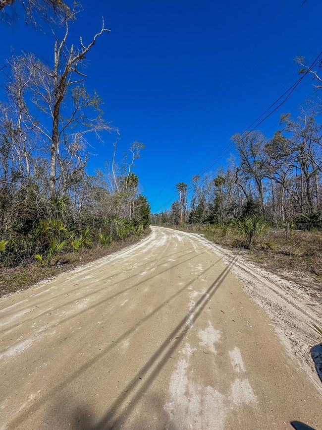 915 Sw 248th Ave, Home with 0 bedrooms, 0 bathrooms and null parking in Steinhatchee FL | Image 6