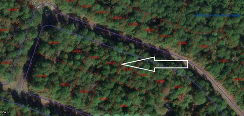 24509 Birch Ct, Huntsville, TX, 77320 | Card Image