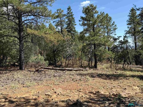 98 Private Drive 1781 Dr, Chama, NM, 87520 | Card Image