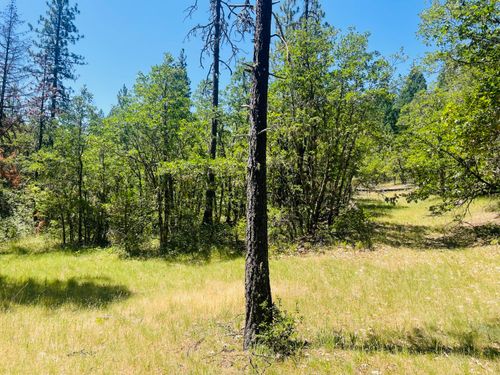 826 Ulrich Rd, Prospect, OR, 97536-9708 | Card Image