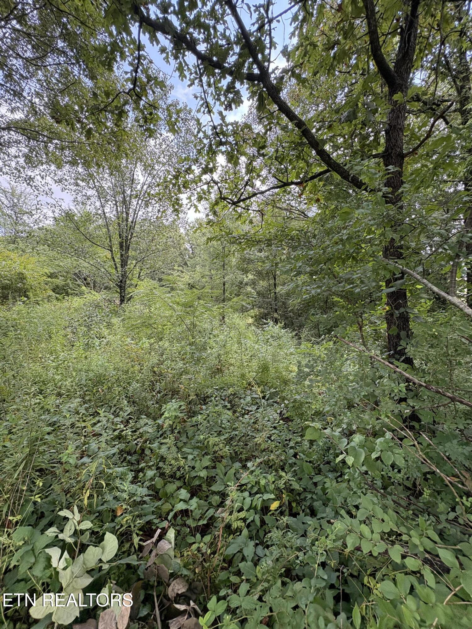Land in Strawberry Plains 2