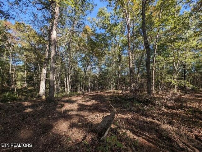 239 Sewell Dr, Home with 0 bedrooms, 0 bathrooms and null parking in Allardt TN | Image 13