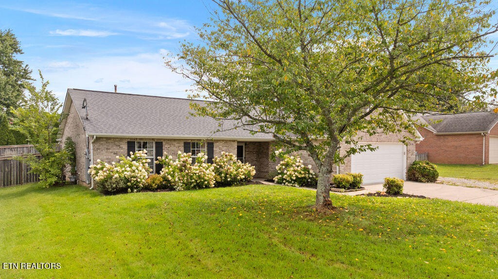 Residential in Knoxville 3