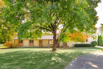 Mid-Century Classic Home | Image 1