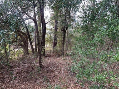 0 Sw 30th Pl, OCALA, FL, 34481 | Card Image