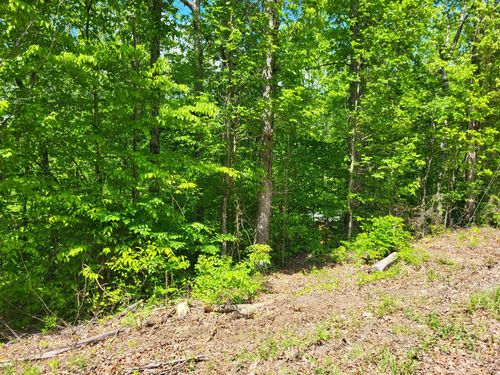 0A Red Ash Rd, Sugar Tree, TN, 38380 | Card Image