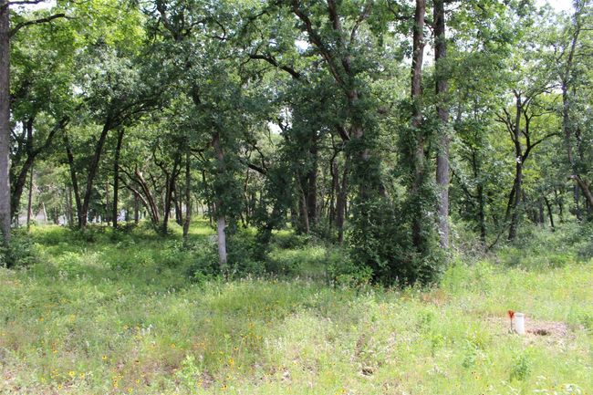 153 Private Road 1311, Home with 0 bedrooms, 0 bathrooms and null parking in Centerville TX | Image 13