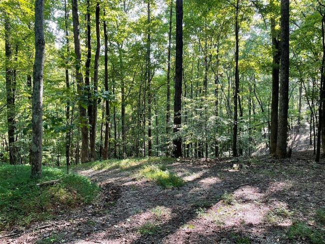 76 Tally Cove Rd, Home with 0 bedrooms, 0 bathrooms and null parking in Jasper GA | Image 7