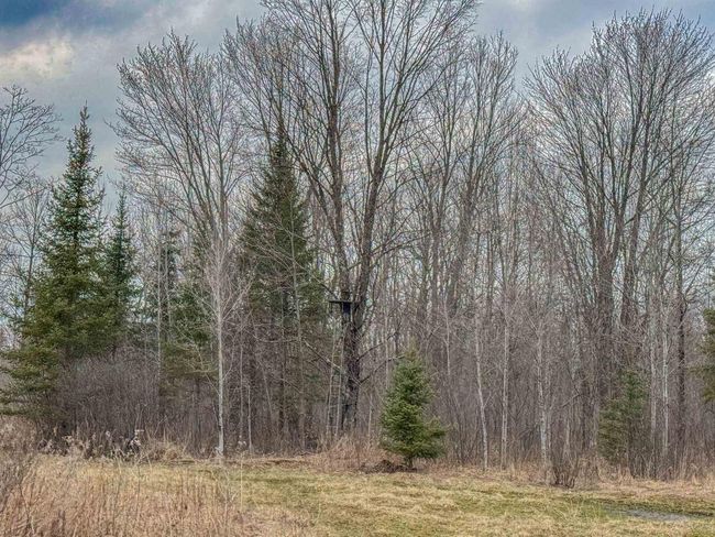 W10236 County Road M, Home with 0 bedrooms, 0 bathrooms and null parking in Merrill WI | Image 13