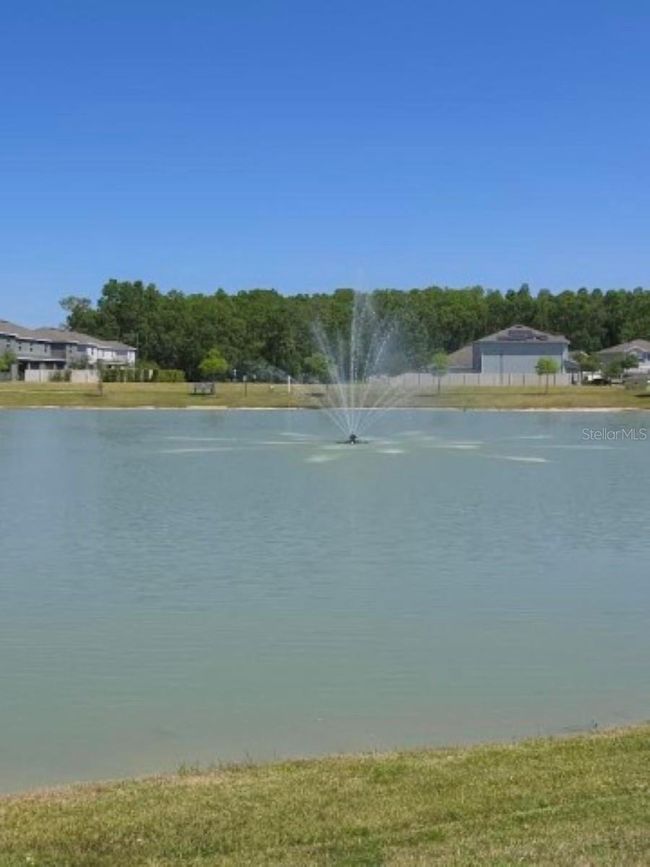 1580 Bering Rd, House other with 5 bedrooms, 3 bathrooms and null parking in WESLEY CHAPEL FL | Image 50
