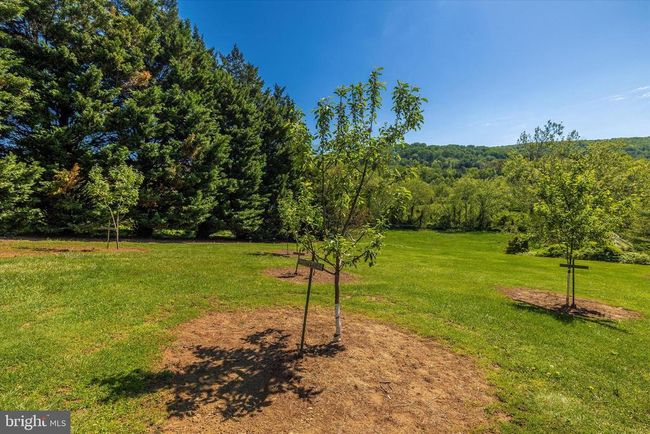9632 Harmony Rd, House other with 3 bedrooms, 2 bathrooms and null parking in MYERSVILLE MD | Image 49