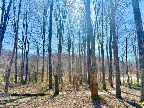 Lot 21 Poplar Drive, Grafton, WV, 26354 | Card Image