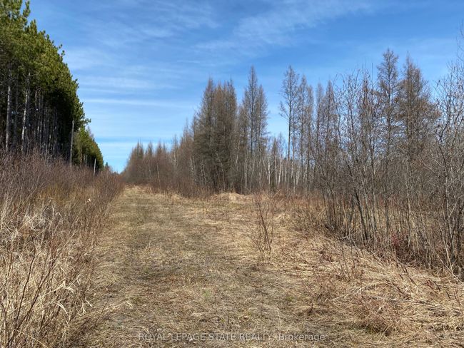 12253 On 17 (Trans Canada) Highway, Home with 0 bedrooms, 0 bathrooms and null parking in West Nipissing ON | Image 5