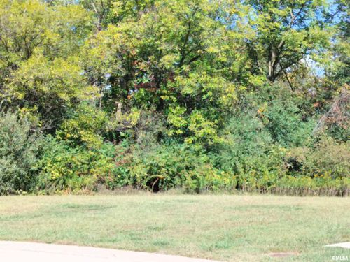 103 Joseph Ct, Washington, IL, 61571-4046 | Card Image
