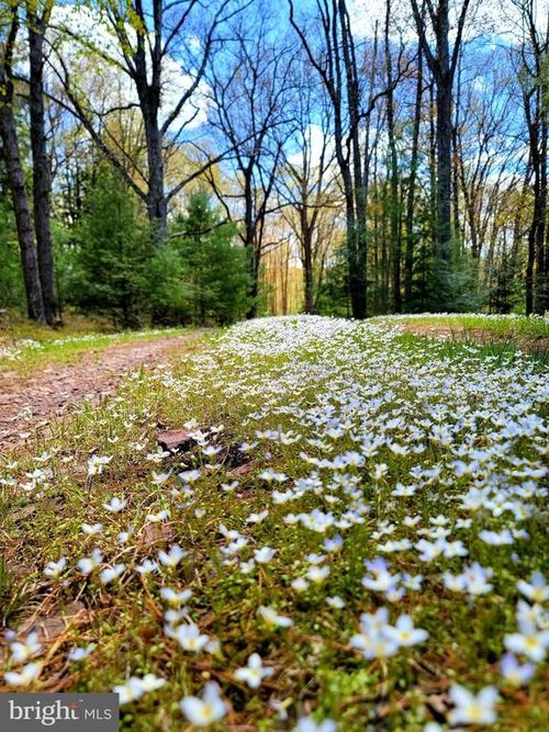 614 Graystones Jeras Rd, Albrightsville, PA, 18210-3334 | Card Image