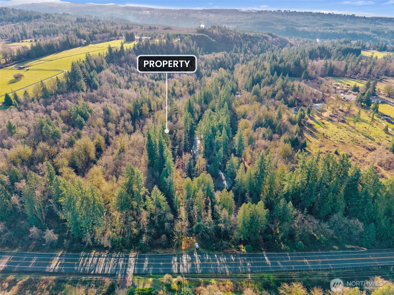 Land in Mossyrock 4