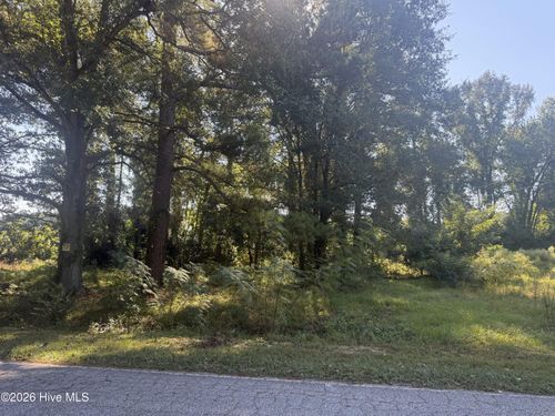 102 Brooklyn Avenue, Harrells, NC, 28444 | Card Image