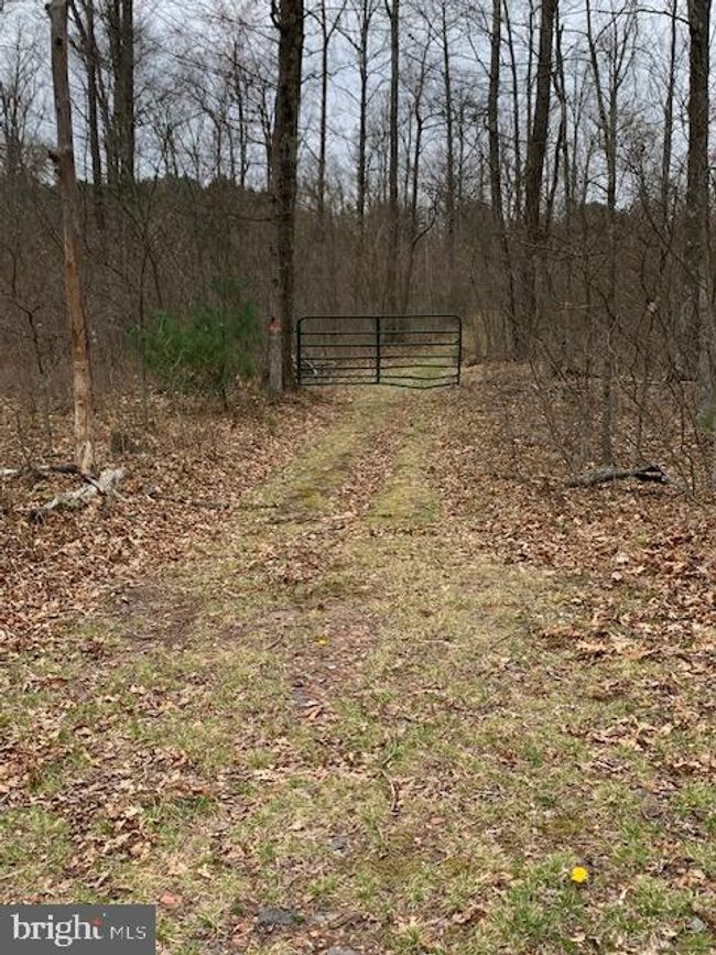 0 Little Wolf Rd, Home with 0 bedrooms, 0 bathrooms and null parking in CLARENCE PA | Image 10