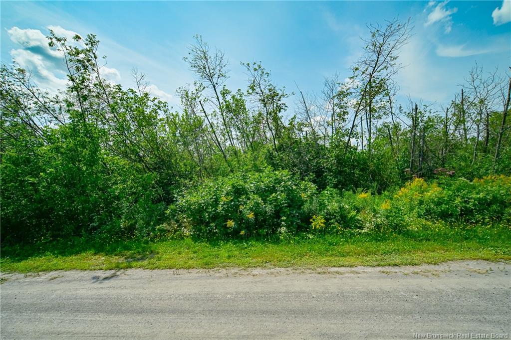Land in Saint-Léonard 2