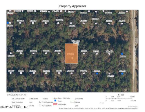 333 Laisy Dr, GEORGETOWN, FL, 32139 | Card Image