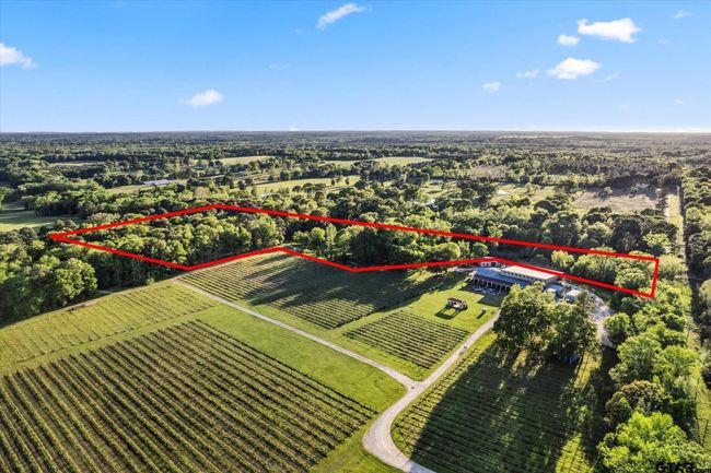 660 County Road 1334, Home with 4 bedrooms, 3 bathrooms and null parking in Pittsburg TX | Image 26