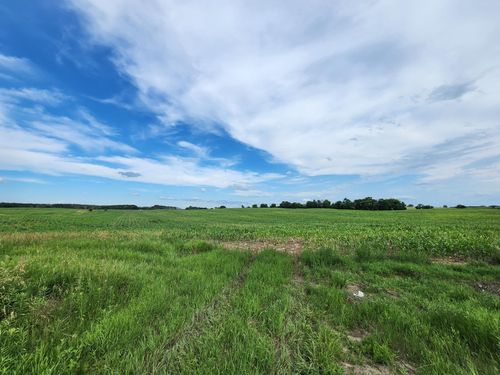 14 Paul Avenue N, May Twp, MN, 55047 | Card Image
