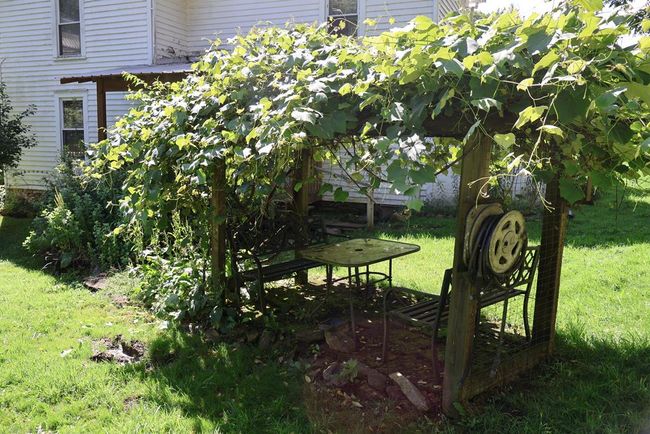 5043 Stones Chapel Rd, House other with 3 bedrooms, 3 bathrooms and 4 parking in Elk Creek VA | Image 41