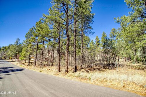 118-1036 W Apache Ln, Lakeside, AZ, 85929-6755 | Card Image