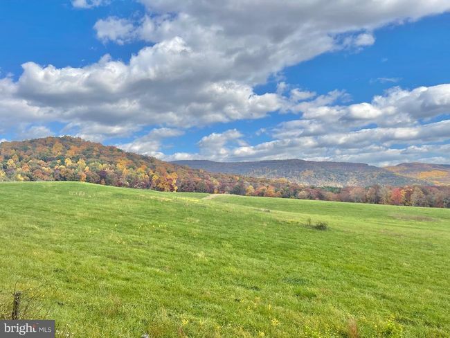 63 Buck Mountain Rd, House other with 4 bedrooms, 4 bathrooms and null parking in BENTONVILLE VA | Image 13