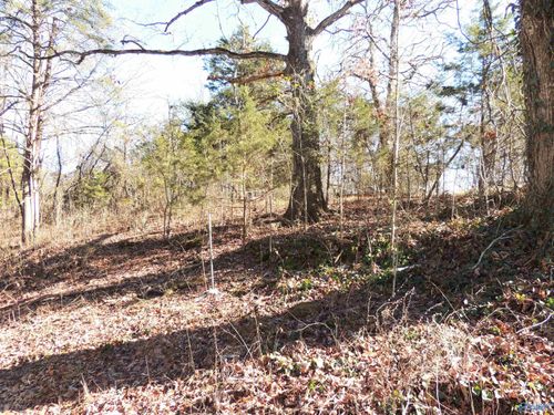74.5 ACRES Northwest Rd, Moulton, AL, 35650 | Card Image