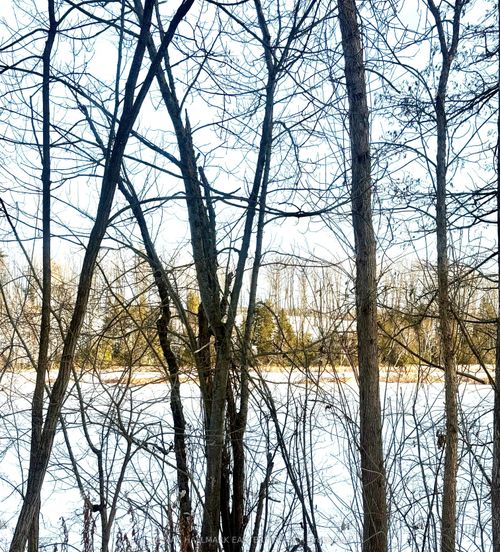 58 Mill Street, Otonabee South Monaghan, ON, K0L1G0 | Card Image