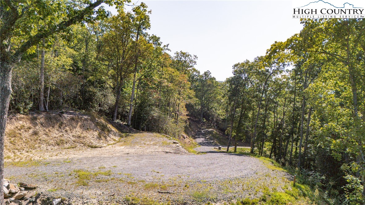 Land in Spruce Pine 3