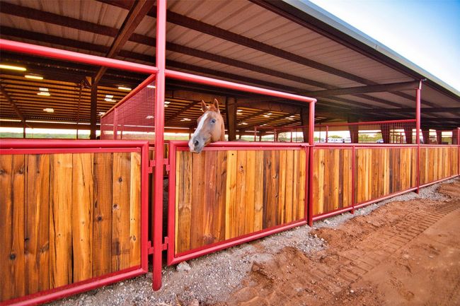 View of stable | Image 27