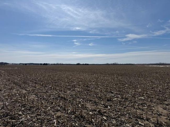 0000 County Road 61, Home with 0 bedrooms, 0 bathrooms and null parking in Browerville MN | Image 11