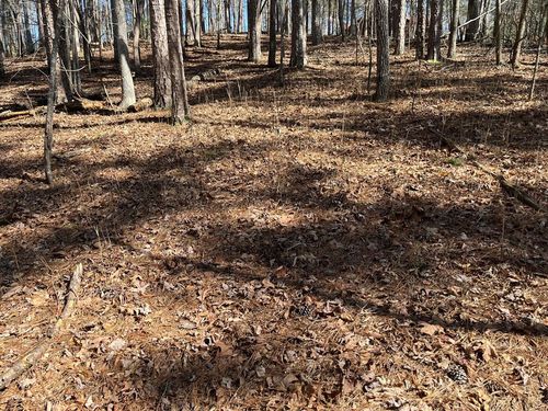 630 Armor Way, Ellijay, GA, 30540 | Card Image