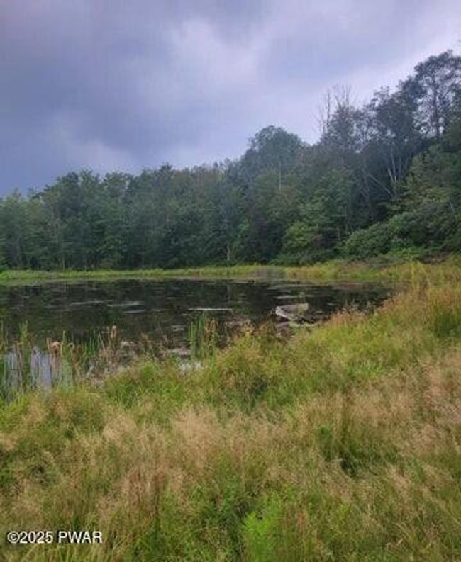 Pond | Image 5