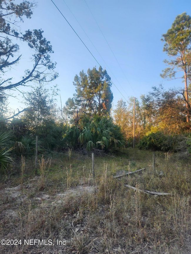 5150 Jody Morgan Rd E, Home with 0 bedrooms, 0 bathrooms and null parking in Perry FL | Image 8