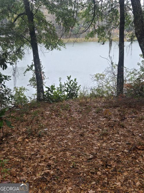 LOT 10 Cotton Cove Drum, Georgetown, GA, 39854-4211 | Card Image