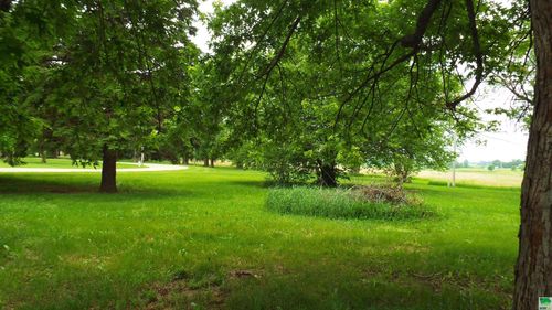 1179 Oak St, Ocheyedan, IA, 51354-7557 | Card Image