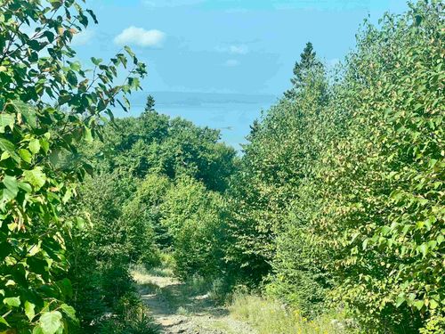 Settlers Bluff, St. Georges Channel, NS, B0E3K0 | Card Image
