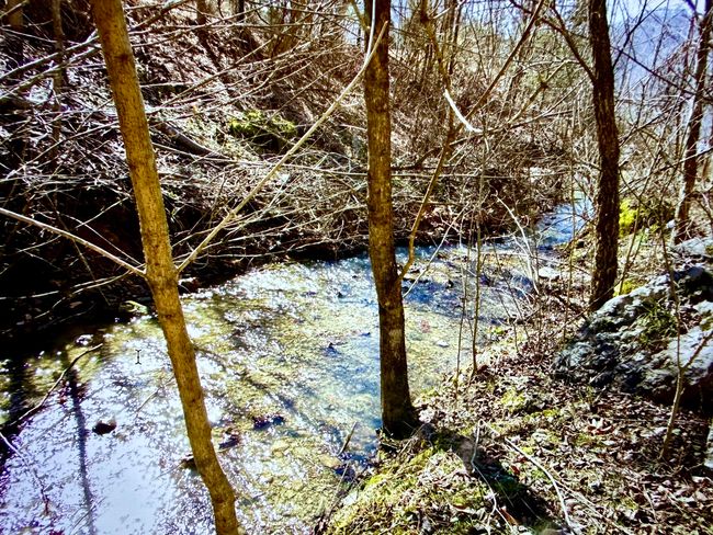 Stream on property | Image 32