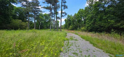 Lot 1 Shankles Circle, Rainsville, AL, 35986 | Card Image