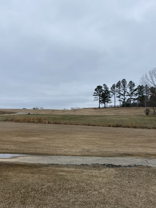 0 Rest Ln, Decaturville, TN, 38329 | Card Image