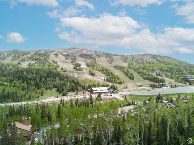 View of mountain backdrop featuring a forest | Image 32