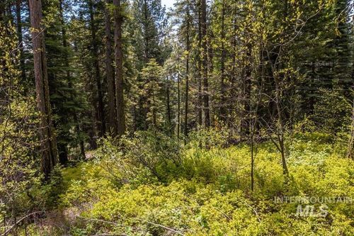 40 Arling Trl, Cascade, ID, 83611 | Card Image