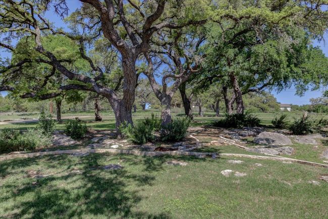 Beautiful towering oaks in the front yard. | Image 27