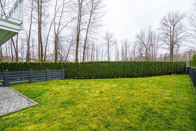 View of yard with fence | Image 4