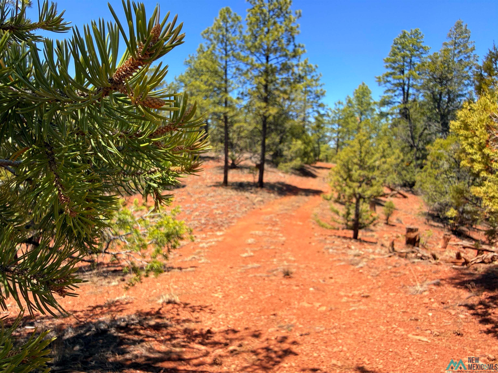 Land in El Morro National Monument 5